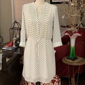 H&M Polka Dress